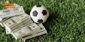 Nhận Định Champions League Phân Tích Góc Nhìn Chuyên Môn